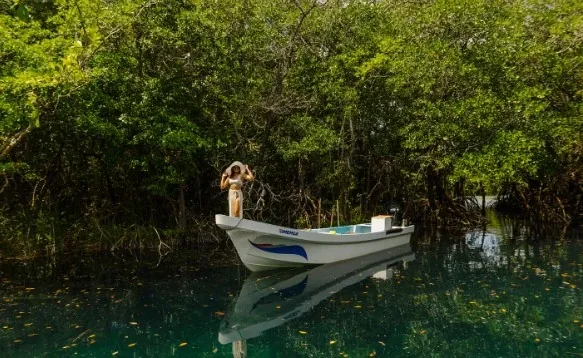 Canal entre manglares en Los Petenes, Campeche