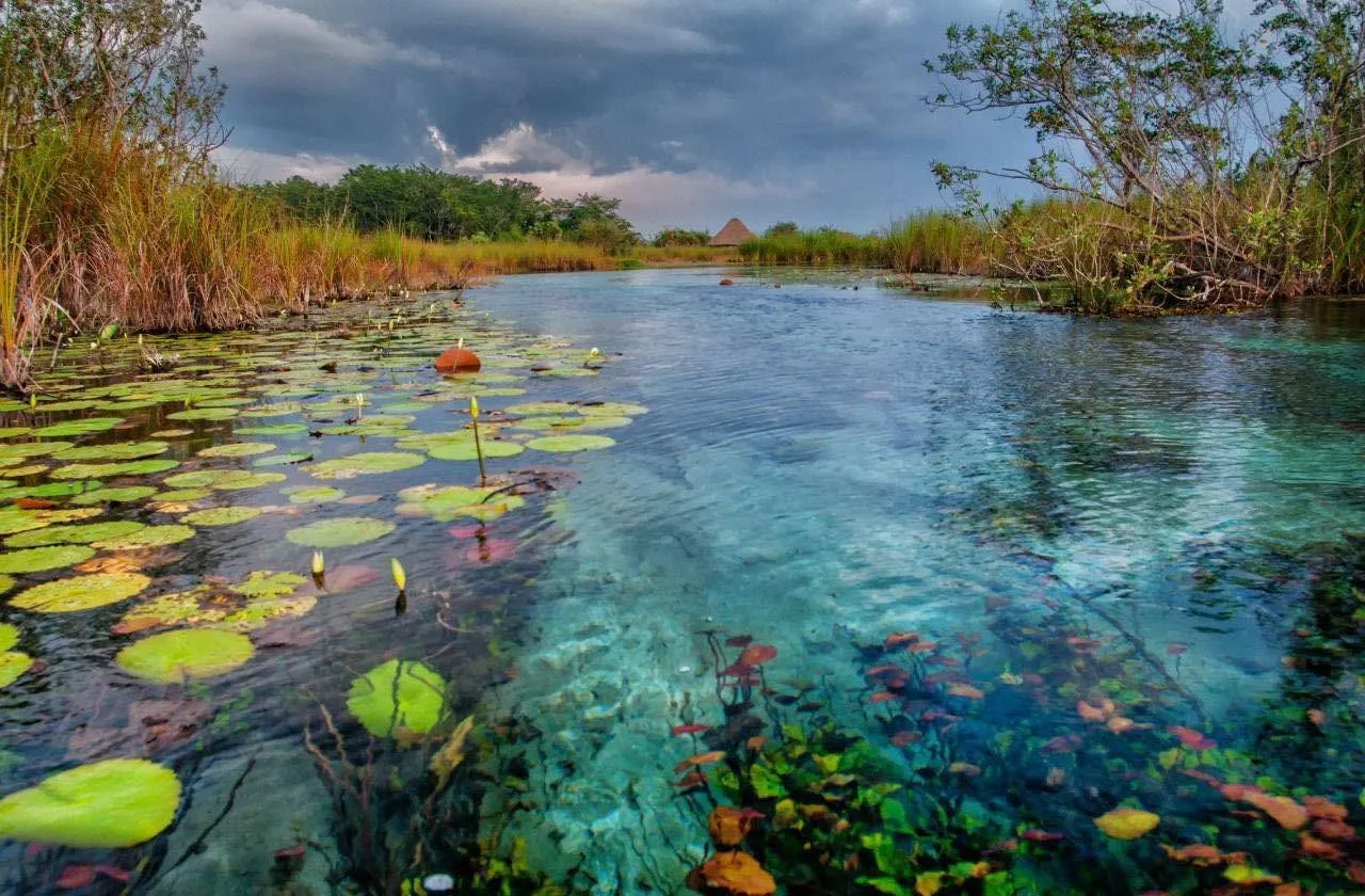 Clear freshwater springs and river at Candelaria, southern Campeche